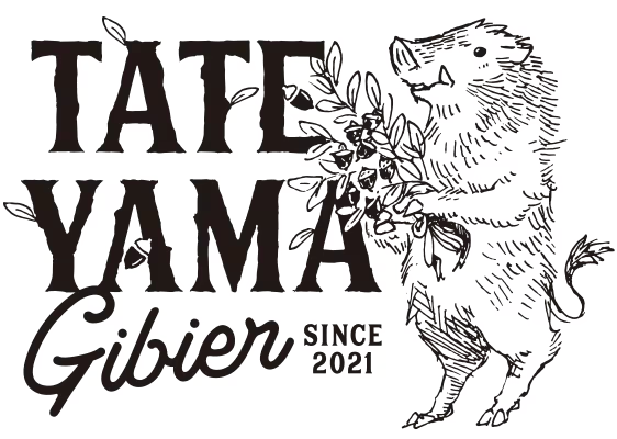 TATEYAMA Gibier